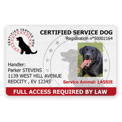 servicedog-certificationcard